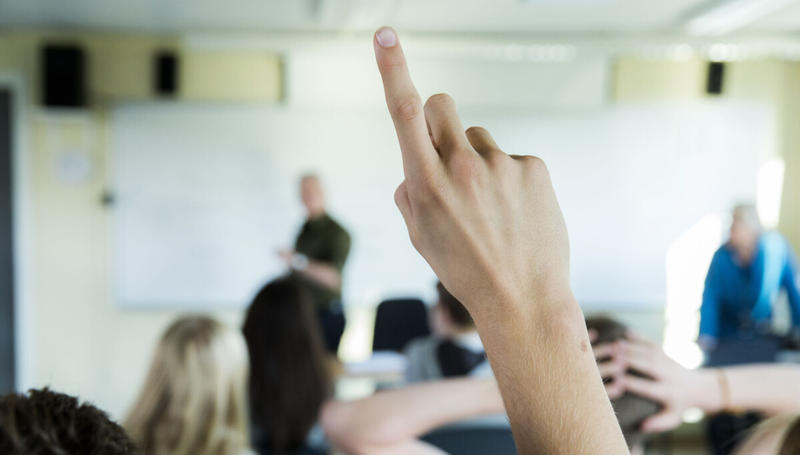 Fellesskulen og friskulane