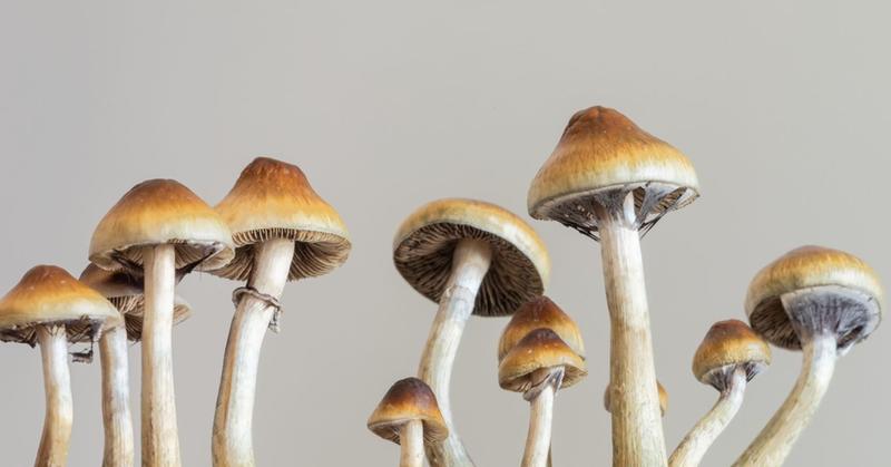 Does Size Matter in Psychedelic Therapy?