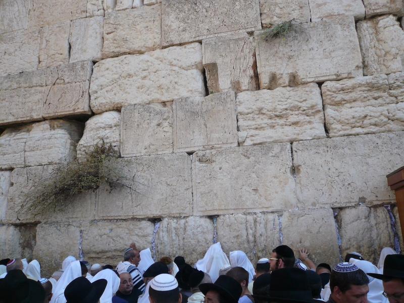 Defeating the Seven-Headed Serpent (Then and Now)