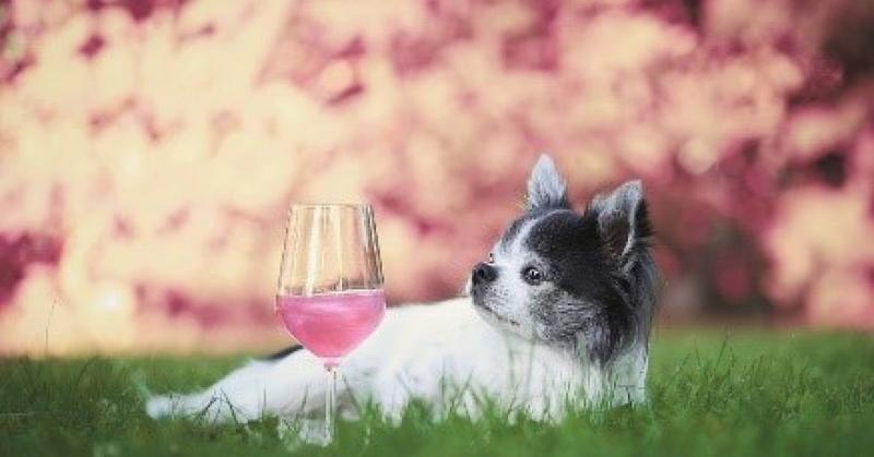 Can the Mere Sight of Something Tempting Affect Your Memory?