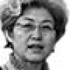 Fu Ying